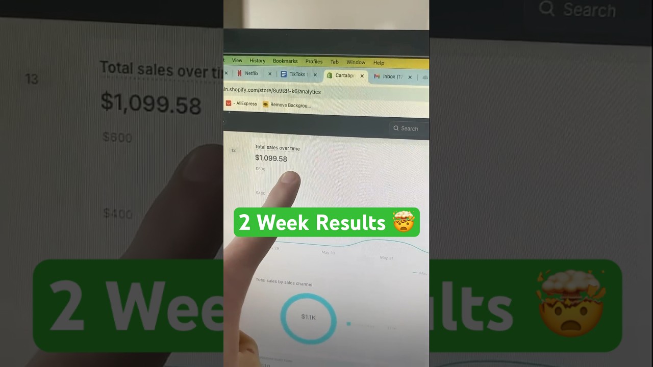 I Tried Shopify Dropshipping for 2 Weeks