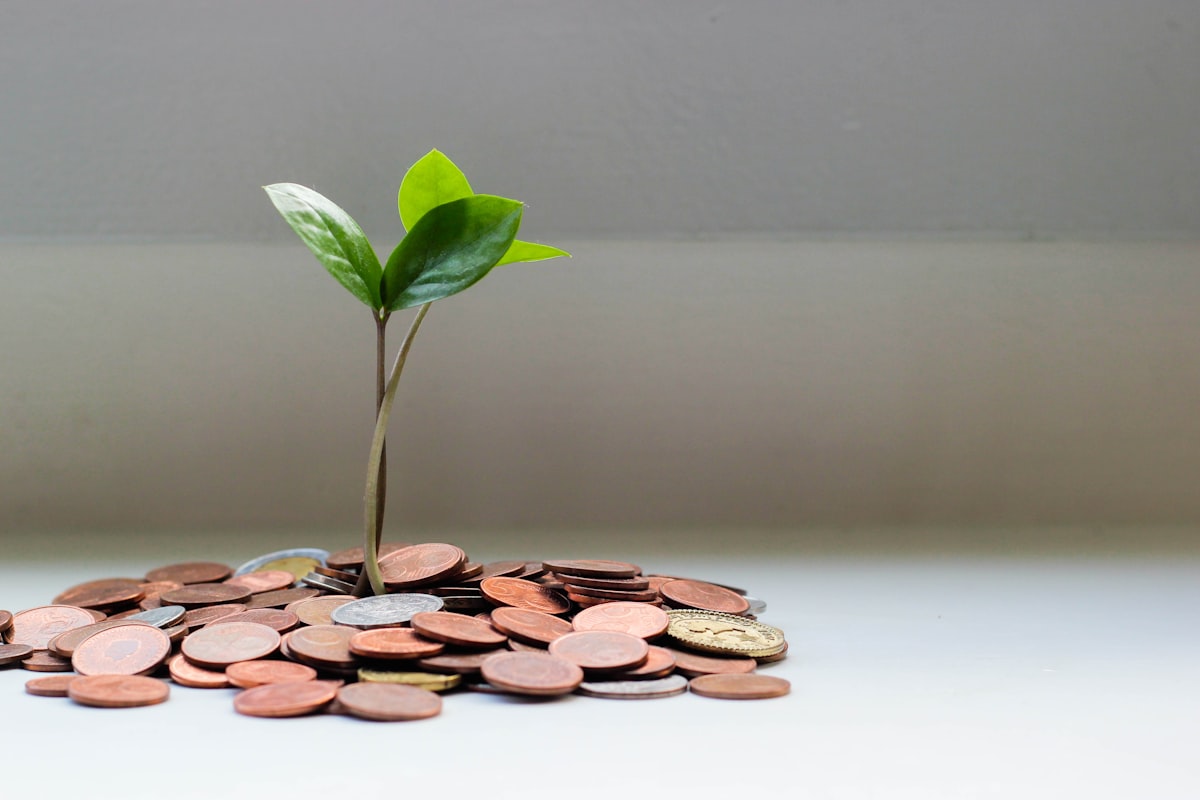 Best Side Hustle 2026 for Beginners in the USA: A Practical Starter Guide